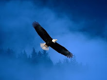 Soaring Eagle