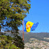 Madeira flag in Quinta Vigia