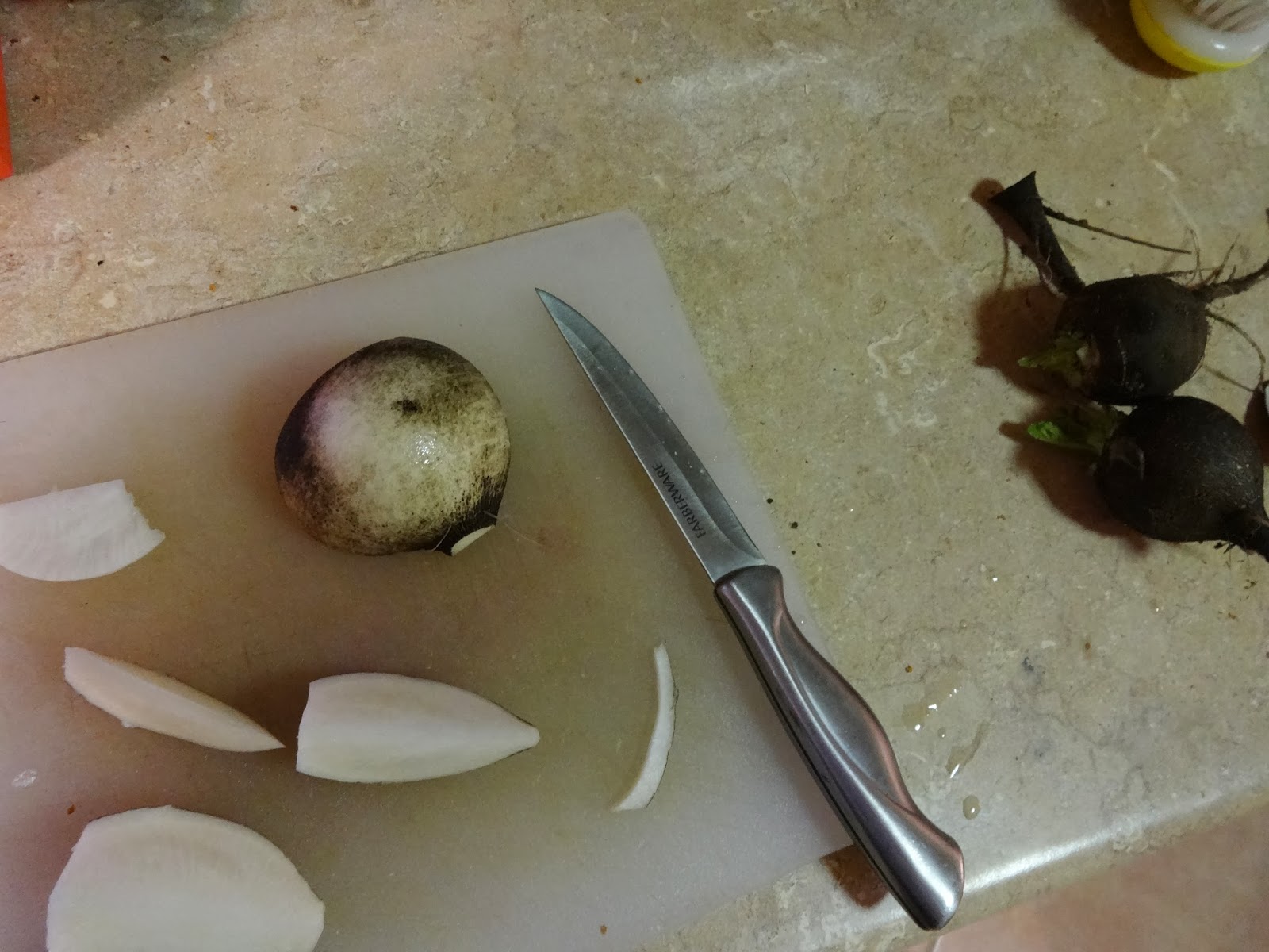 The Scientific Gardener Black Spanish Radish