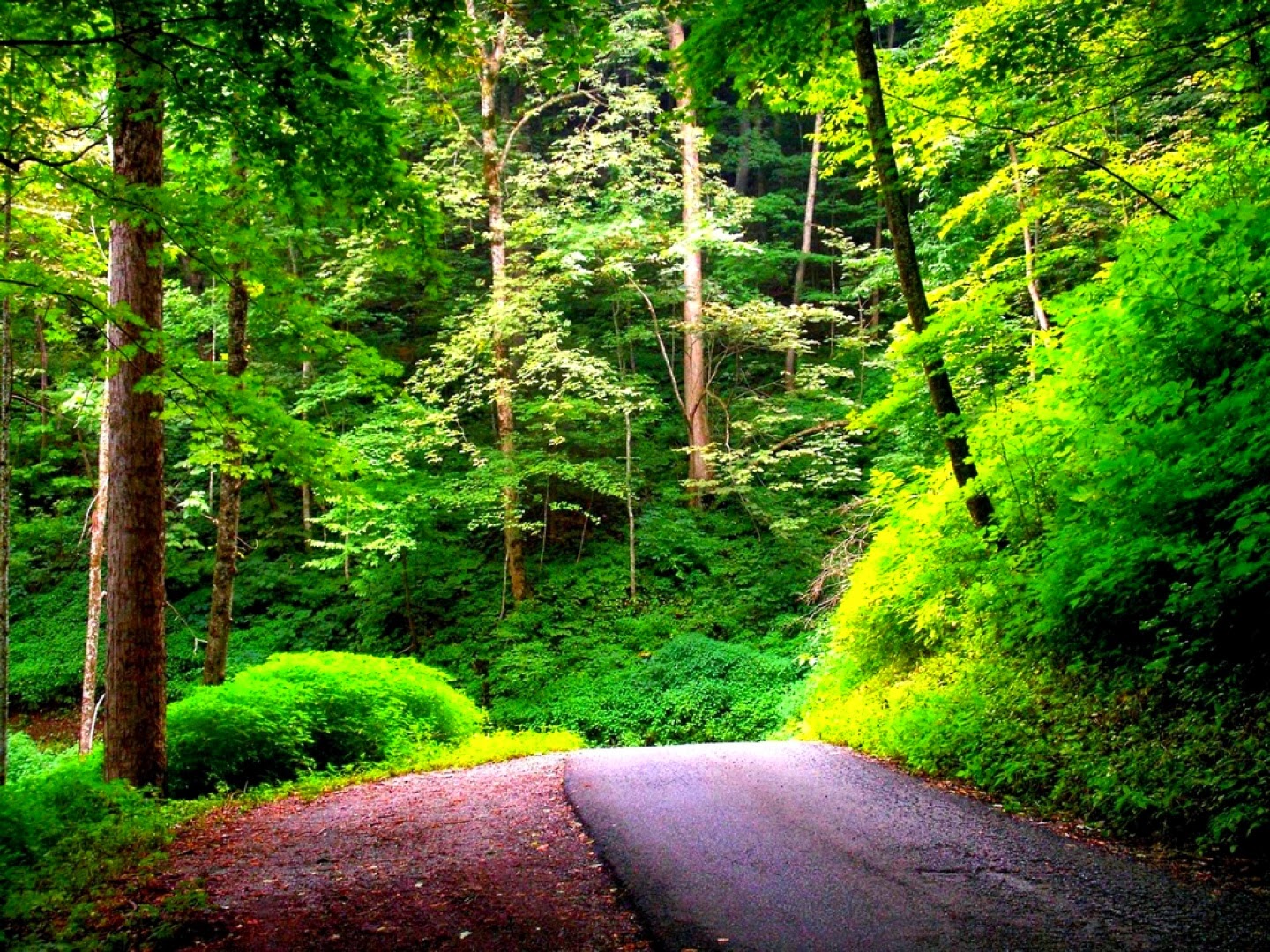 Fotos de naturaleza, animales, paisajes, animadas, y muchos temas mas