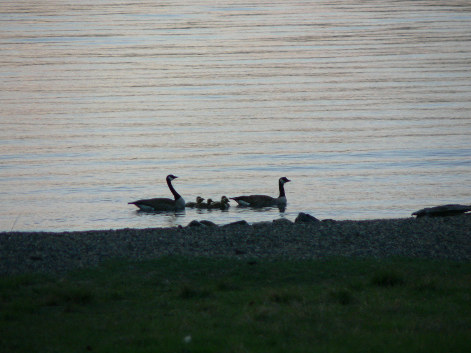 Grande Ronde River Mother's Day Float Winding Waters River Expeditions