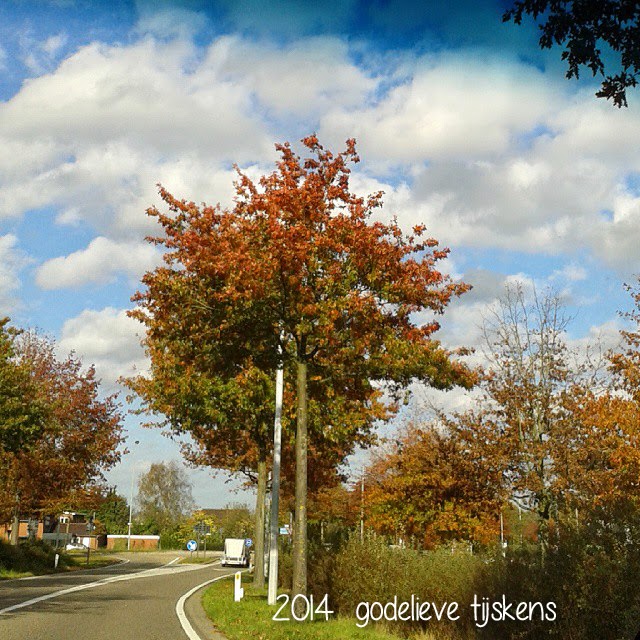 Close Up Ongetwijfeld Herfst Definitely Fall