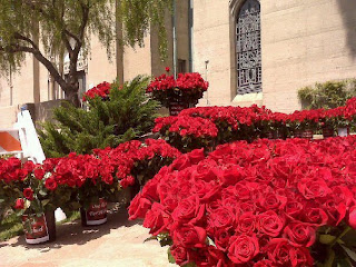 roses+holly+terrace+2011