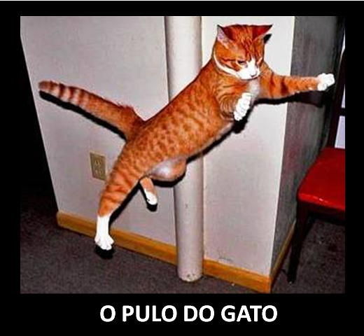 O Pulo do Gato