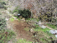 Trail restored by the Trailbuilders at the Old Cheezer Mine site on Fish Canyon Trail, Angeles National Forest, January 17, 2015 Trail restored by the Trailbuilders at the Old Cheezer Mine site on Fish Canyon Trail, Angeles National Forest, January 17, 2015