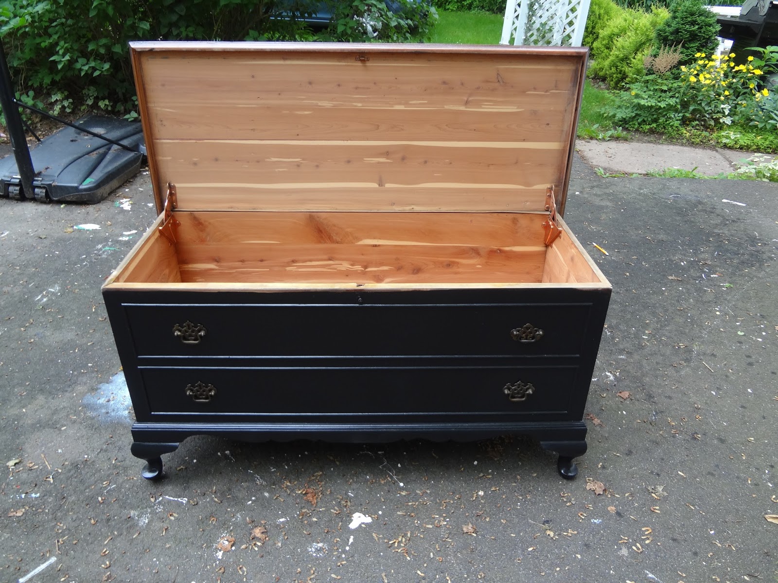 Heir and Space A Refinished Cedar Chest