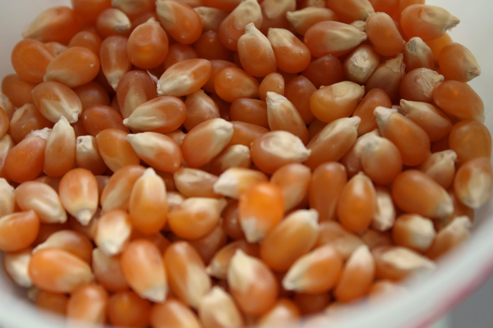 Perfect Kettle Corn A Feast For The Eyes