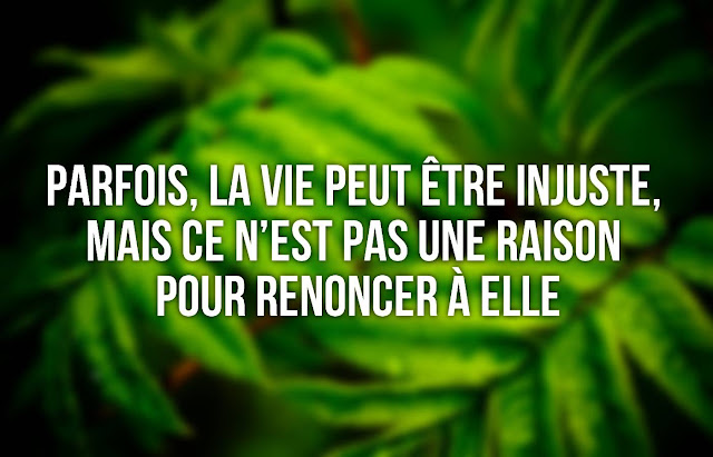  citation sur la vie 