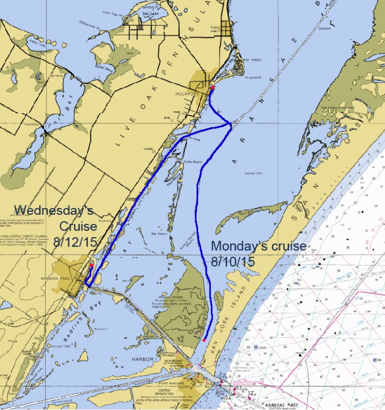 Life in the Slow Lane (The Pearl) Aug. 12 Aransas Bay, TX