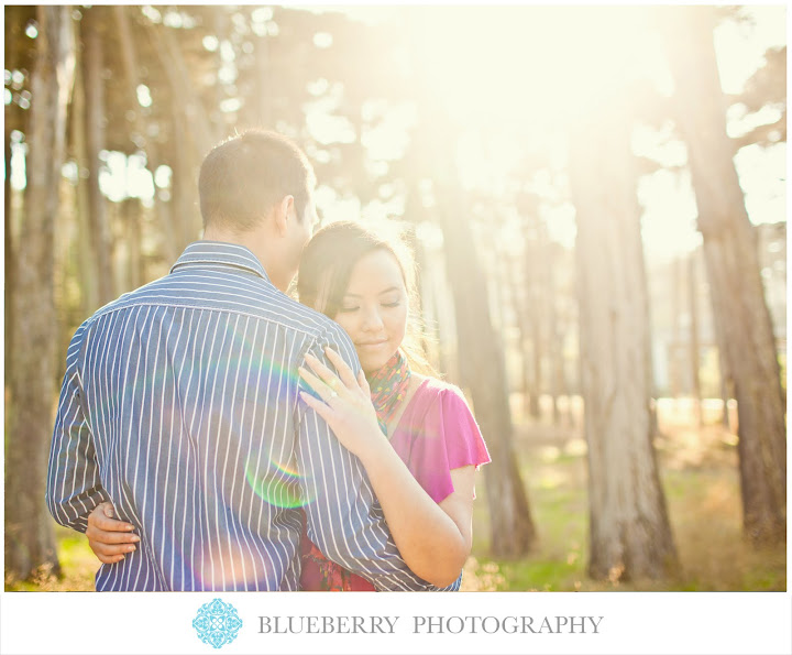 san francisco presidio eucalyptus tree forrest engagement session photography