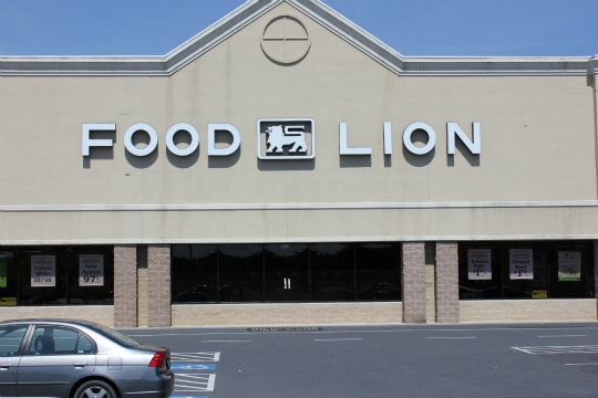 Lion food norfolk logo Me and My Pink Mixer: The New and Improved Food Lion & A Giveaway!