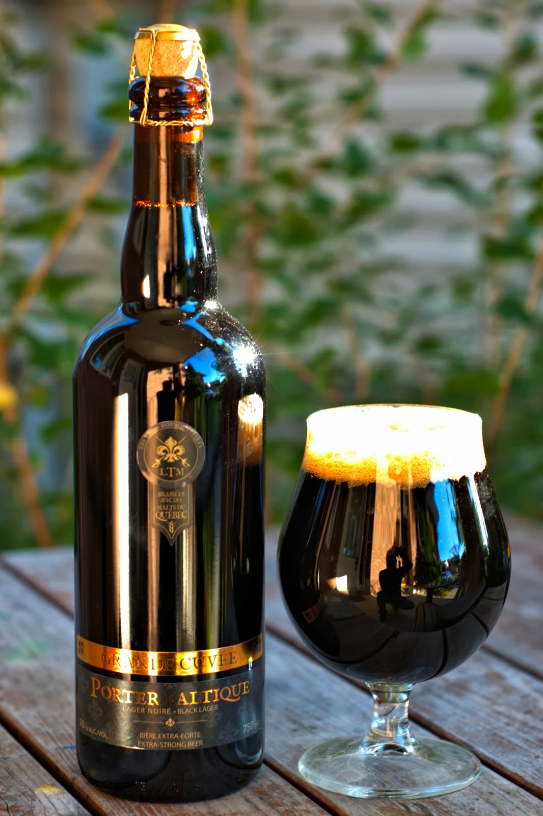 Top 5 Canadian Beers from Firefly Books Porter Baltique