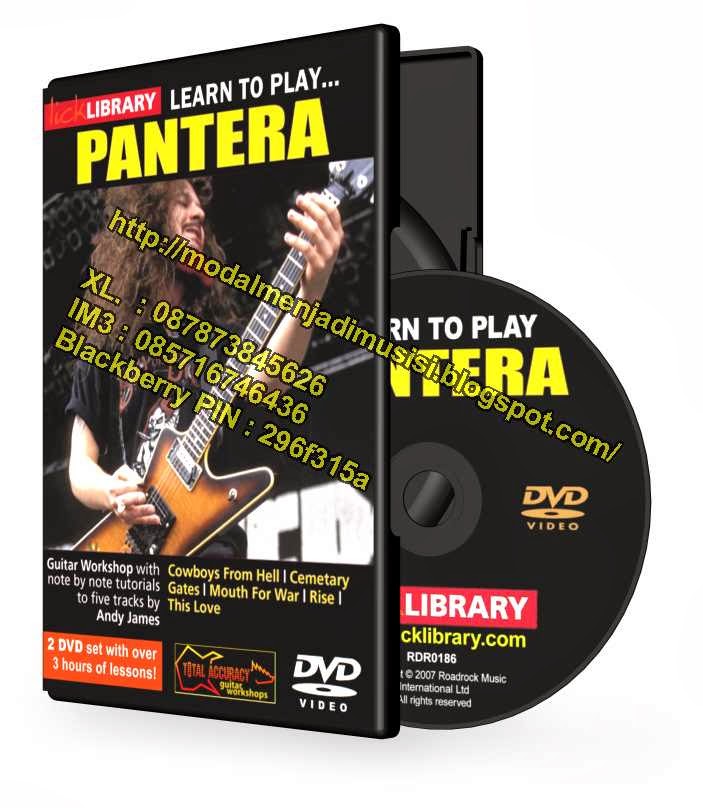 Learn To Play Pantera 2 DVD SET 2x DVD set - LickLibrary