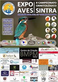 II Campeonato Ornitológico de Sintra 2018