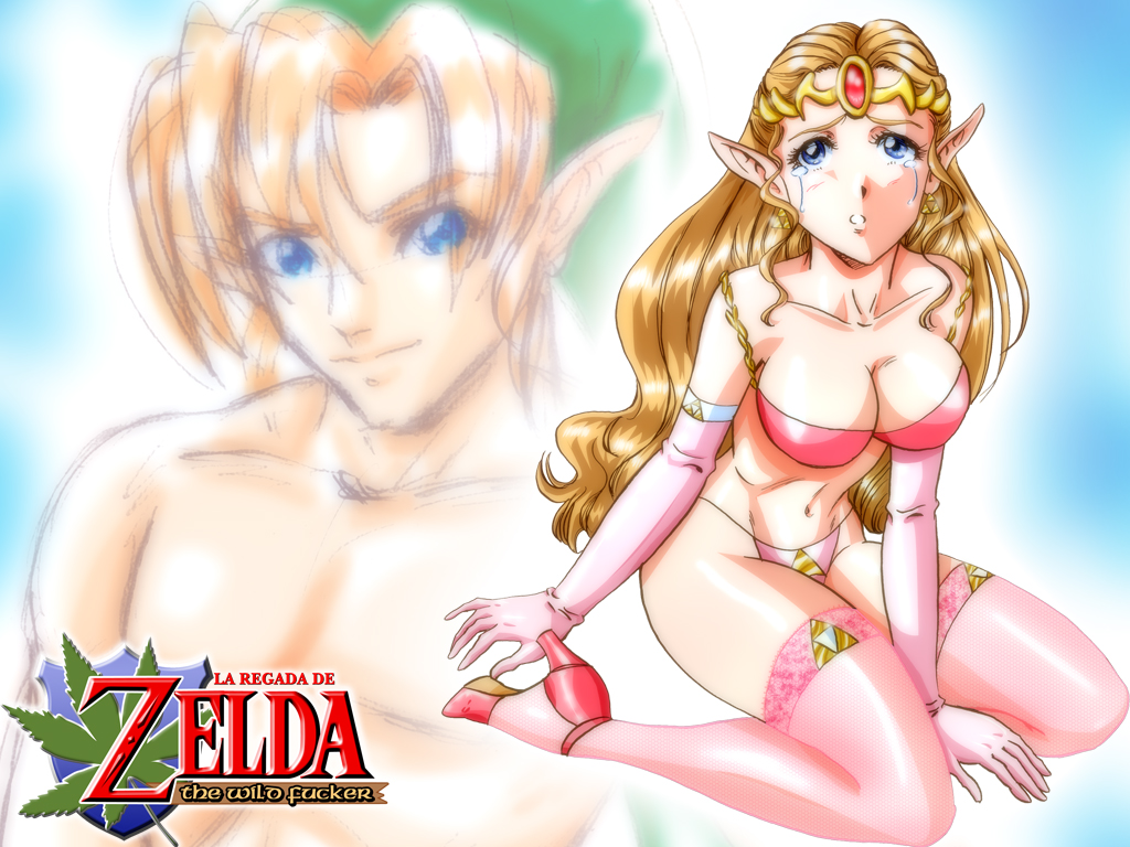 http://2.bp.blogspot.com/-5SBx7CezkQ8/TcMgFlRZXJI/AAAAAAAAAKU/cap_ZHg3zag/s1600/Zelda_wallpaper_by_CellsArt.jpg