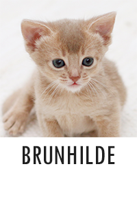 Brunhilde