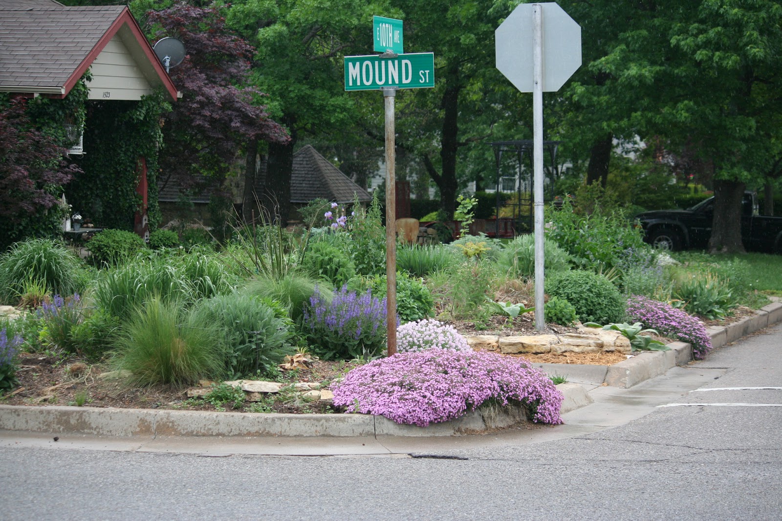 Greggo's garden | Blooming day, Trees to plant, Front yard garden