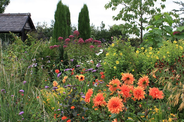 The Ultimate Hoya Care Guide Homestead Brooklyn