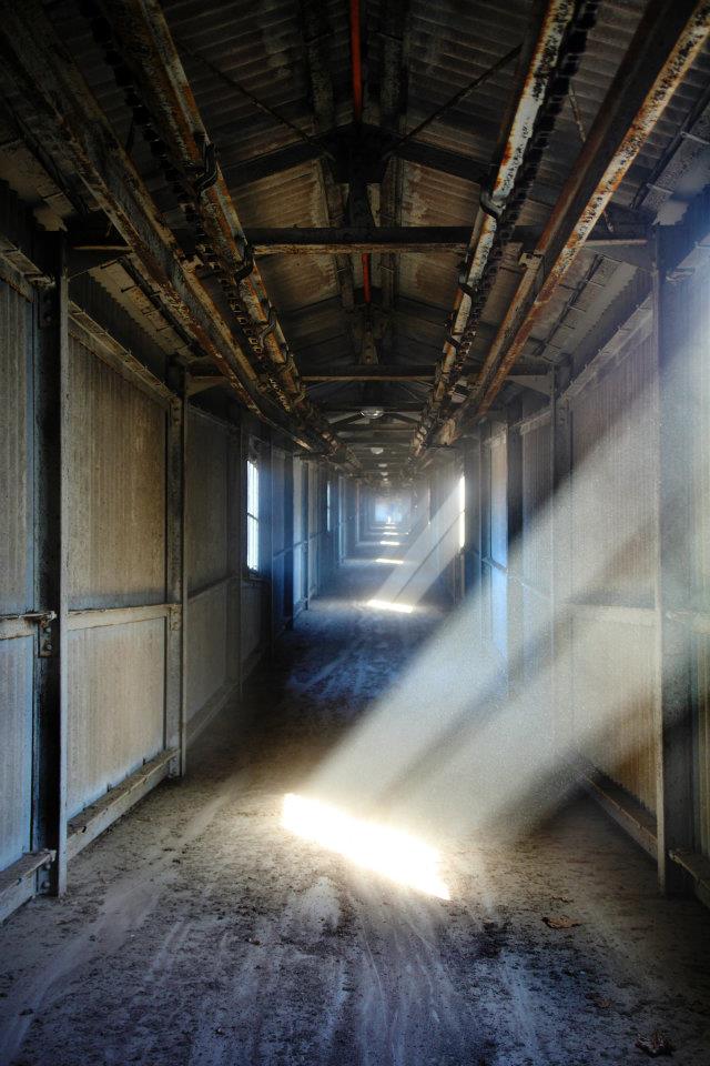 abandoned life meaning abandoned life meaning