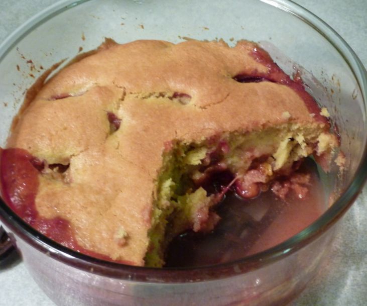 Carla Nayland Historical Fiction September recipe Plum sponge pudding