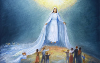  Prayer to the Immaculate Conception