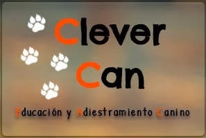 Educación y adiestramiento canino