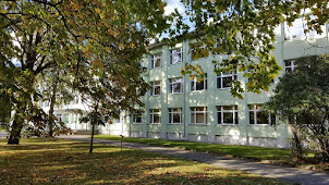 Pärnu Tammsaare Kool