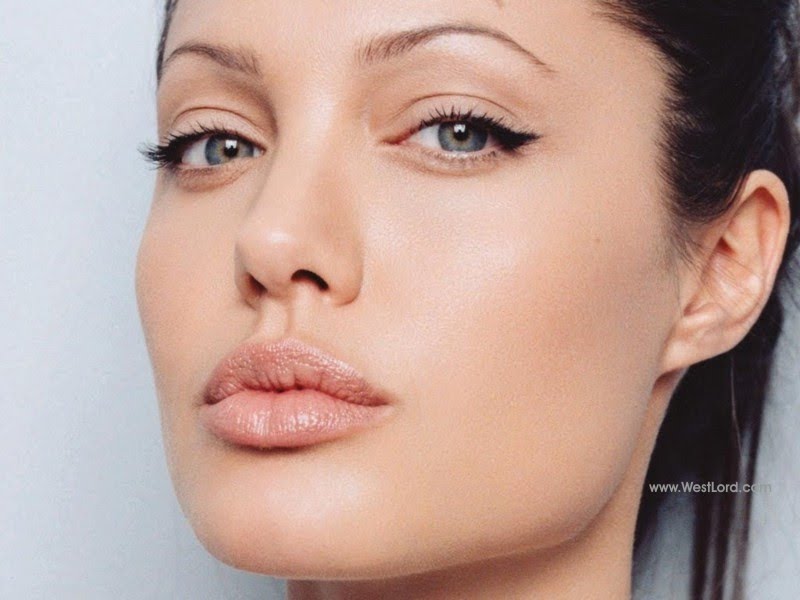 Angelina Jolie Pussy Lips 41