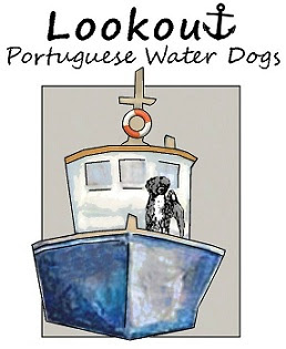 Lookout Portuguese Water Dogs