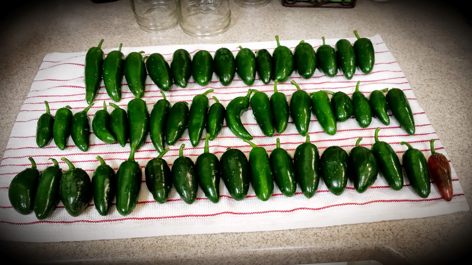 THE THINGS I DO... HOLY JALAPENOS!!!
