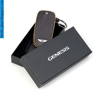 Hyundai genesis car 2012 key - صور مفاتيح سيارة هيونداى جينيسيس 2012 Hyundai genesis car 2012 key - صور مفاتيح سيارة هيونداى جينيسيس 2012