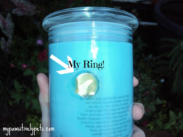 Candles With Rings Inside Them candle safety and pets diamondcandles review and Candles With Rings Inside Them candle safety and pets diamondcandles review and