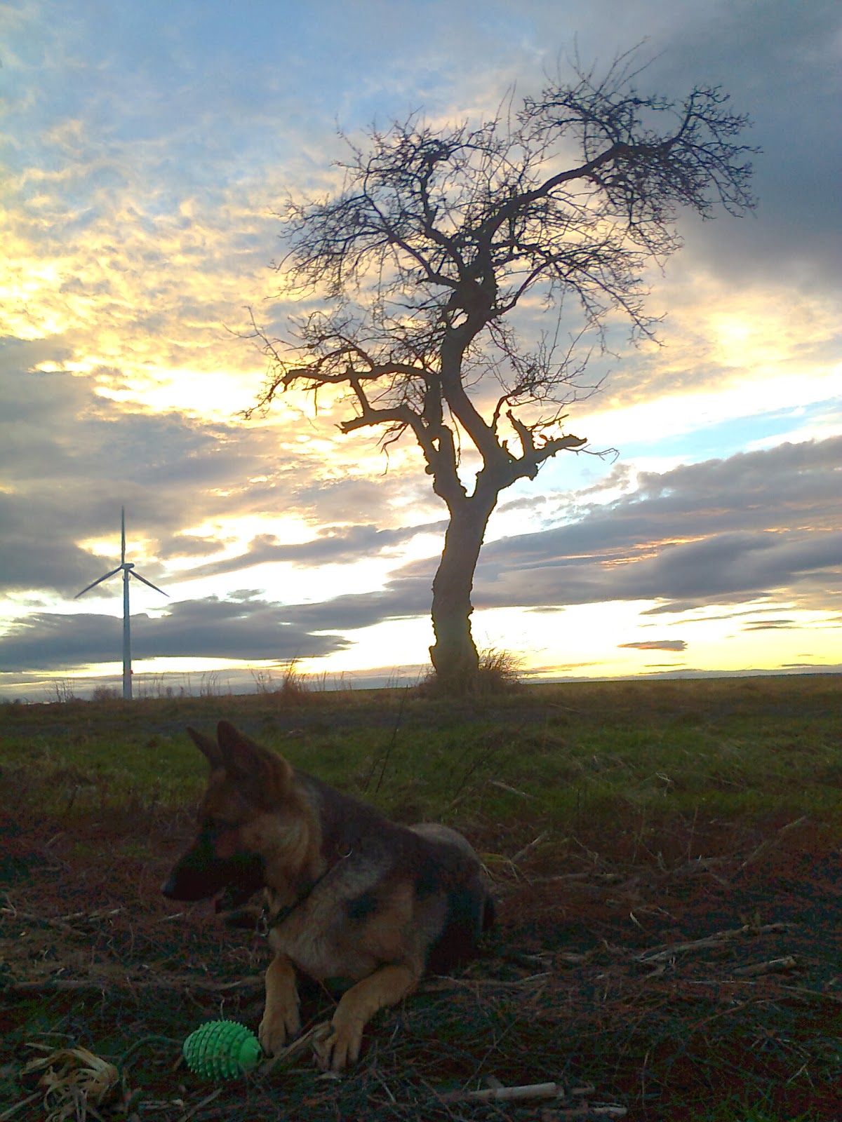 Selbstversorgung Fur Faulpelze 2013