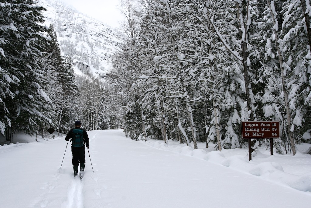 Glacier National Park Ski Trip Naturally North Idaho