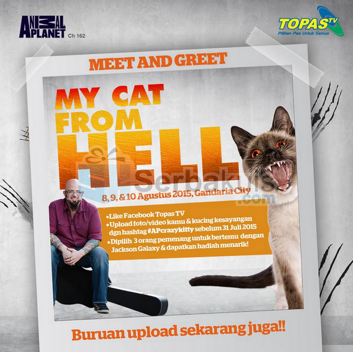 Mau Bertemu Jackson Galaxy? Ikutan Kontes Foto Crazy Kitty Mau Bertemu Jackson Galaxy? Ikutan Kontes Foto Crazy Kitty