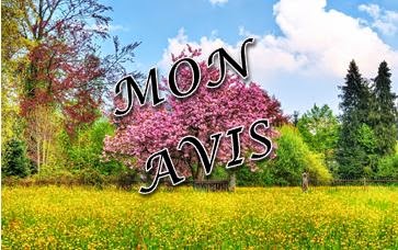 avis rencontre dauphin marineland