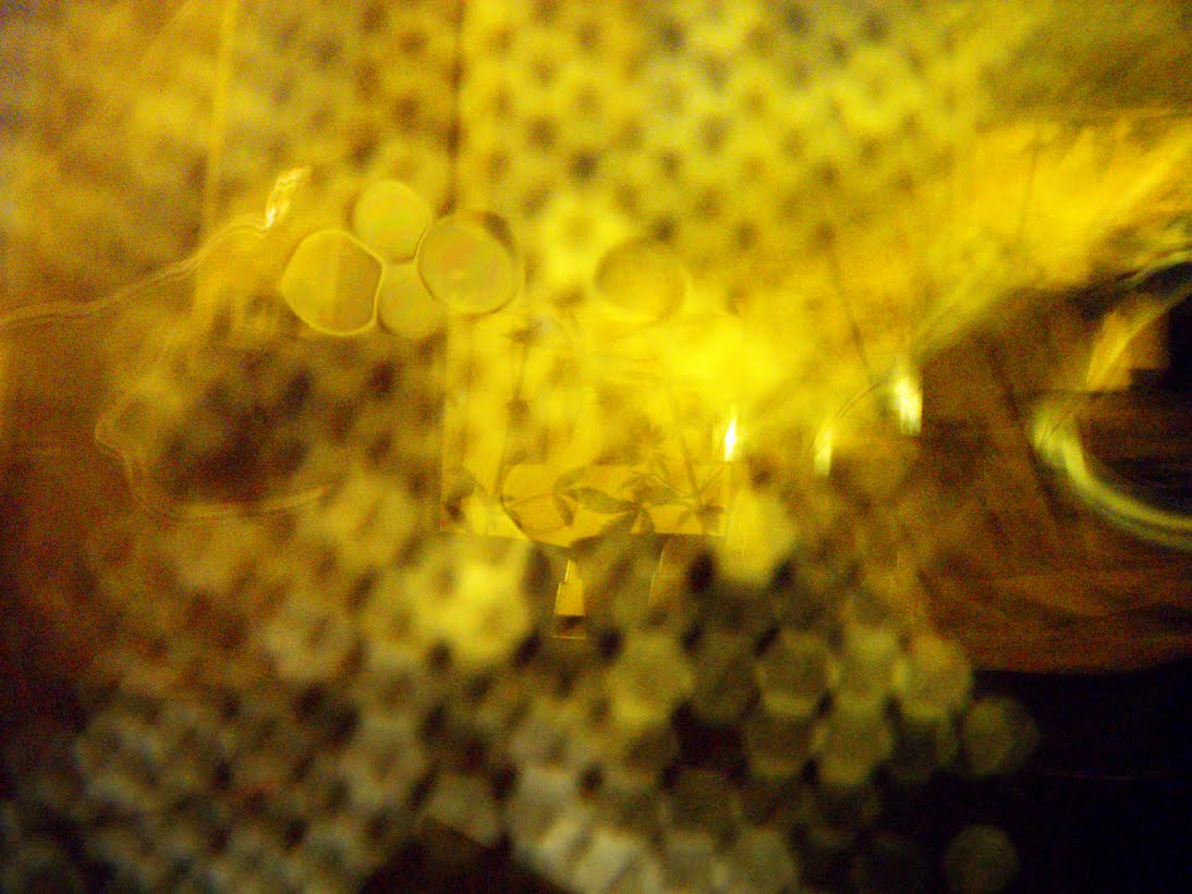 entoptic phenomena blue sprie entoptic phenomena blue sprie