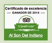 TripAdvisor 2014