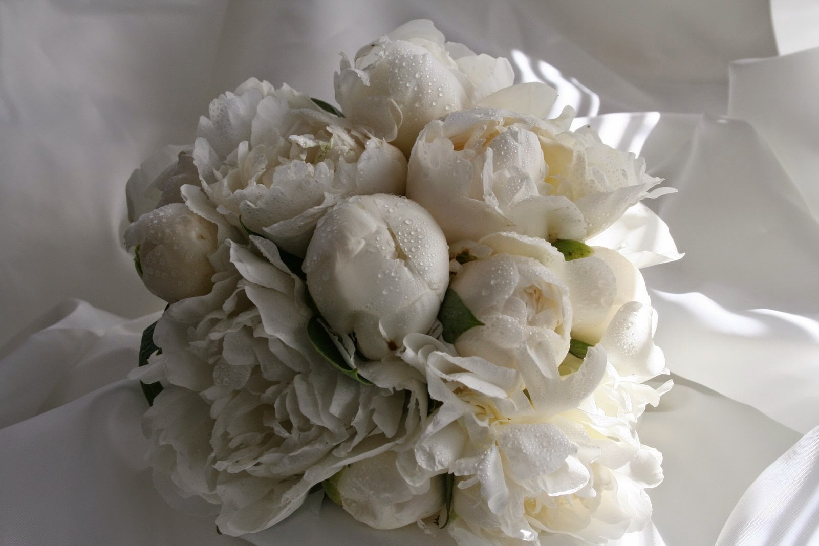 bridal wedding bouquet of white flowers