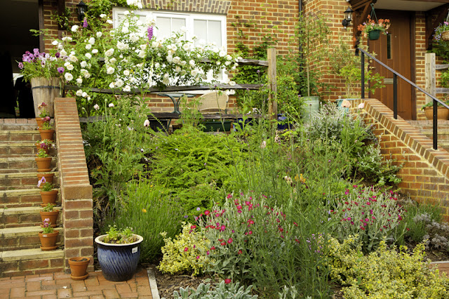 Living the Life We've Imagined: French Lavender...