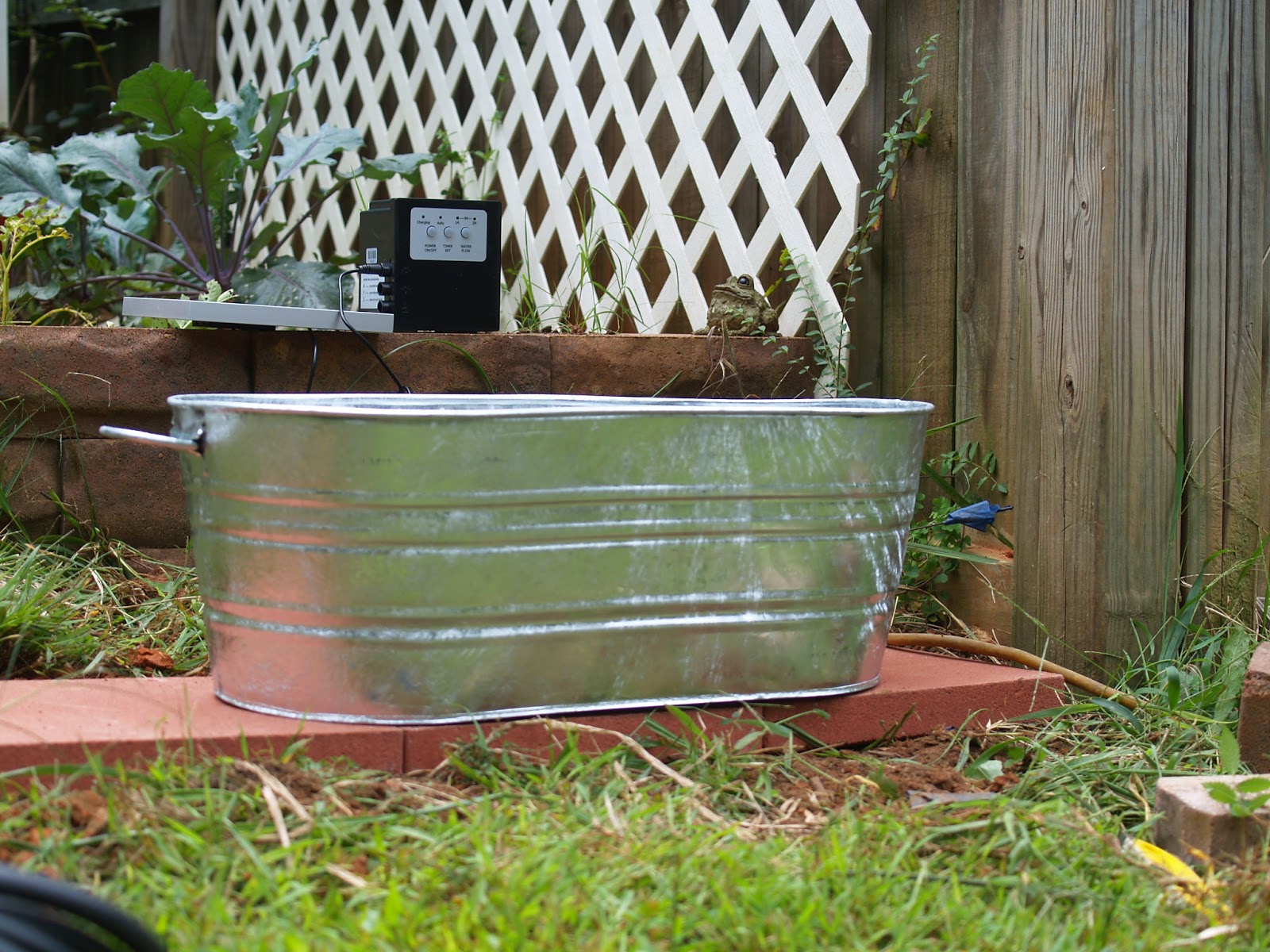 Budding and Blooming Project Watering Can Fountain