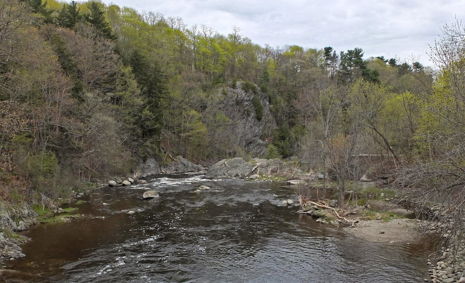 Hiking in Maine with Kelley 5/14/14 Kenduskeag Stream Trail