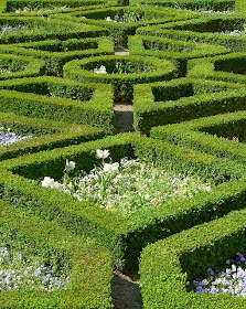 the garden: June 2013