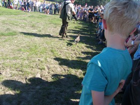 Bocholt Und Mehr Kurbisfest Vogel Flugshow De Valkenhof