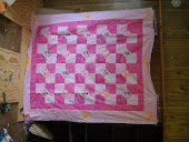 Quilt I made for granddaughter