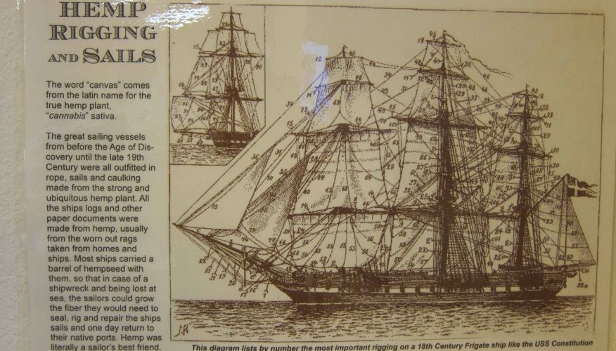 cânhamo era usado desde antes do Descobrimento da América cânhamo era usado desde antes do Descobrimento da América
