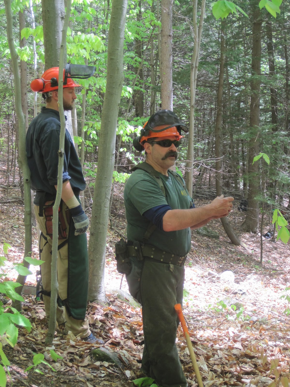 AMC Trails Blog Full Throttle, FullLength Chaps Chainsaw Training