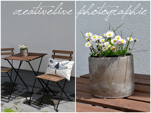 Schilder Und Libellen Creativlive