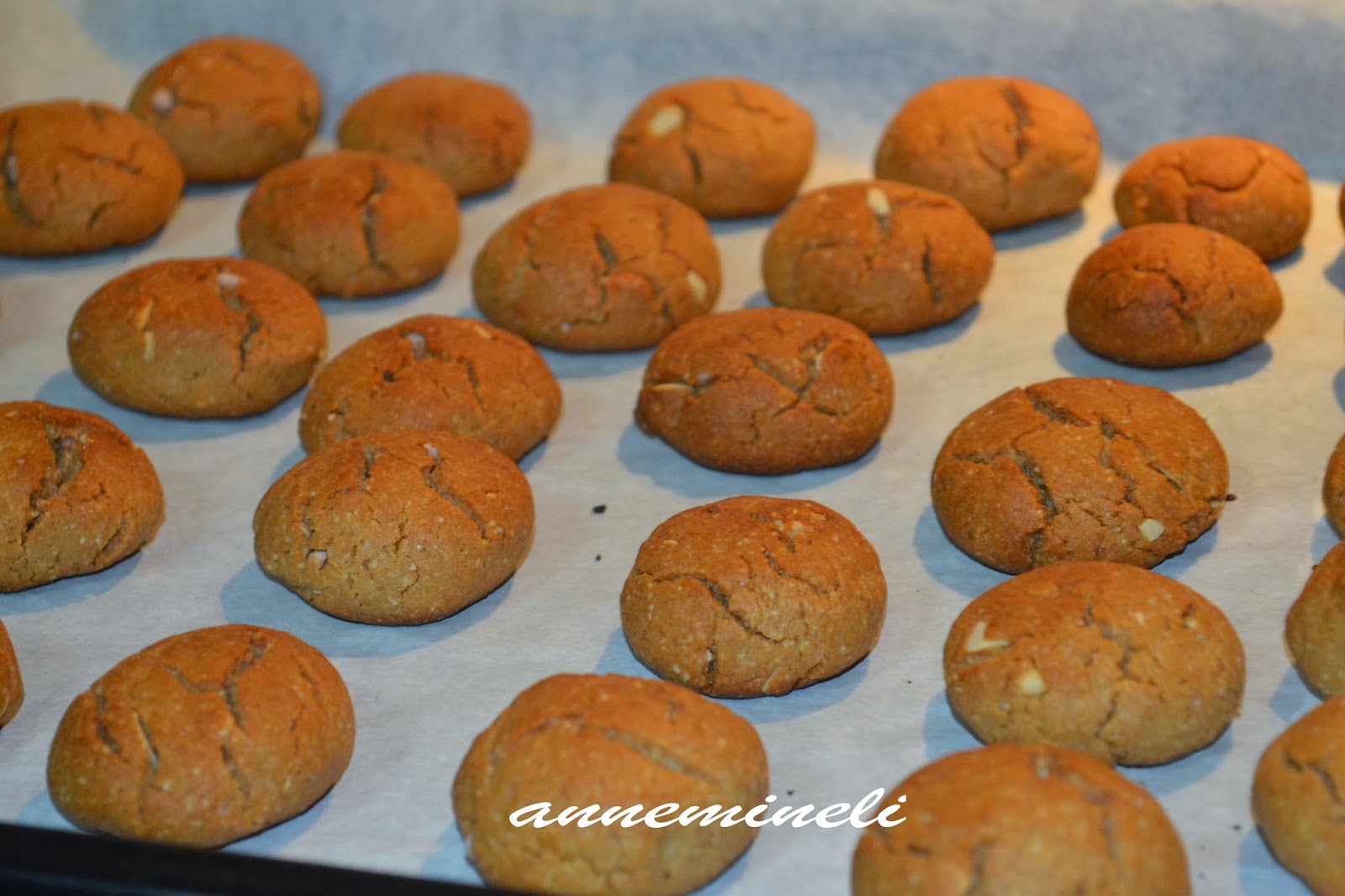 ANNEMİNELİ KESTANE UNUNDAN DİYET KURABİYE YAPIMI