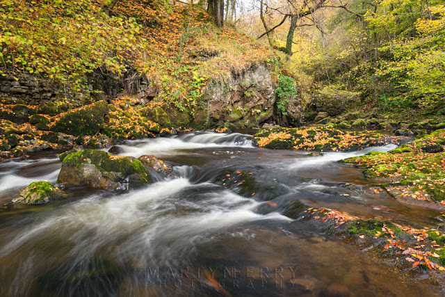 The Afon Mellte courses through woodland in the Vale of Neath by Martyn Ferry Photography